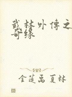 武林外传之同福奇缘
