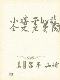 小瞎子by苏软全文免费阅读封面