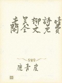 老吴柳诗晴笔趣阁全文免费阅读封面