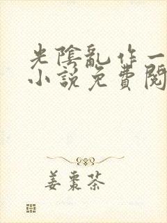 光阴乱作一团的小说免费阅读