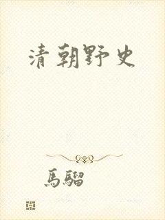 清朝野史封面