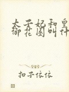 太子妃和皇帝在御花园叫什么小说