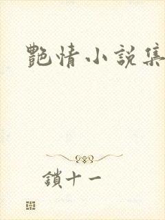 艳情小说集封面