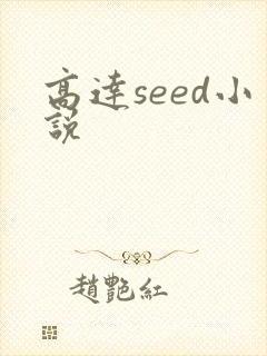 高达seed小说