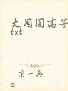 大团圆高芳小说txt