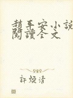 赵平安小说免费阅读全文封面