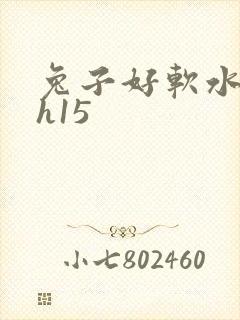 兔子好软水好多h15封面