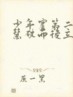 少年宾第二部珏慧破而后立封面