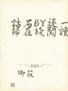 钻石BY逐一而归在线阅读