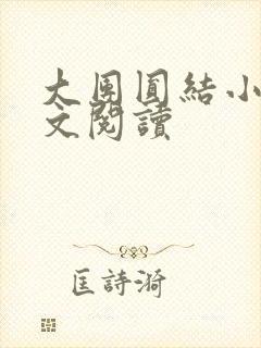 大团圆结小茹全文阅读