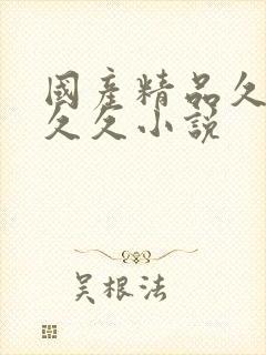 国产精品久久久久久小说