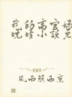 我的高官妈妈苏晚晴小说免费阅读