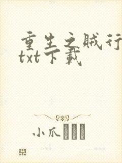 重生之贼行天下txt下载