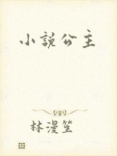 小说公主封面