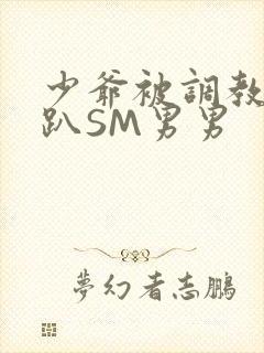 少爷被调教室跪趴SM男男