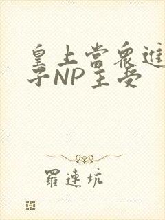 皇上当众进入太子NP主受封面