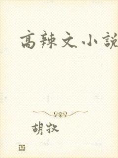 高辣文小说