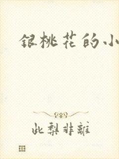 银桃花的小说