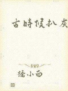 古时候扒灰小说封面