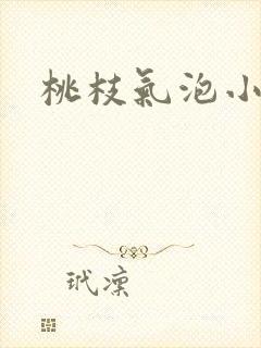 桃枝气泡小说封面