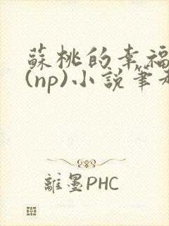 苏桃的幸福生活(np)小说笔趣阁沐沐封面