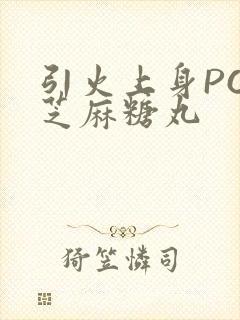 引火上身POP芝麻糖丸