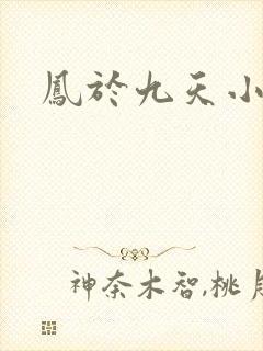 凤于九天小说