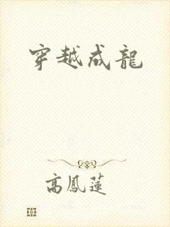 穿越成龙封面