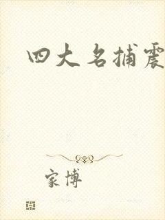 四大名捕震关东封面