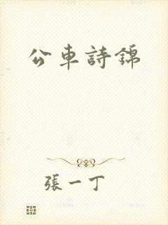公车诗锦封面