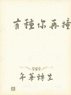 有种你再撞一下