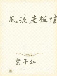 风流老板俏秘书封面