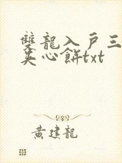 双龙入户三人行夹心饼txt封面