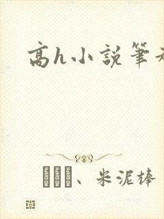 高h小说笔趣阁