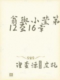 翁与小莹第十部12至16章