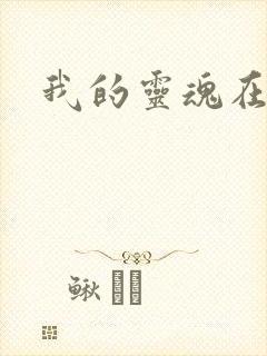 我的灵魂在古代封面