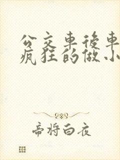 公交车后车座的疯狂的做小