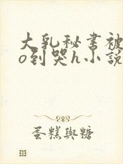 大乳秘书被cao到哭h小说