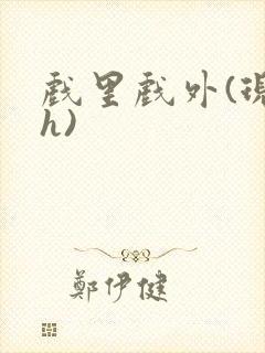 戏里戏外(现场h)