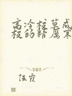 高冷校草成为全校的精厉寒小说封面