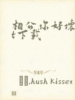 相公你好坏txt下载封面