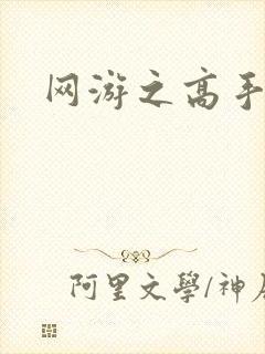 网游之高手寂寞