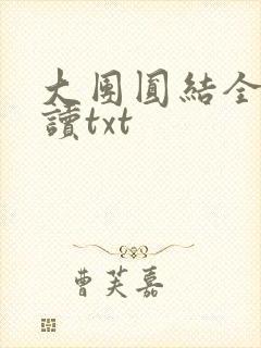 大团圆结全文阅读txt封面