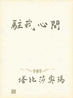 驻我心间