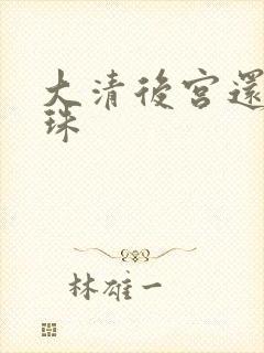 大清后宫还君明珠封面