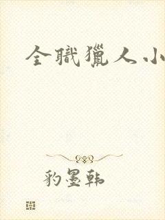 全职猎人小说封面