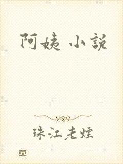 阿姨 小说