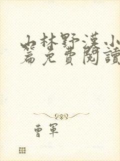 山林野汉小说全篇免费阅读