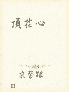 顶花心封面