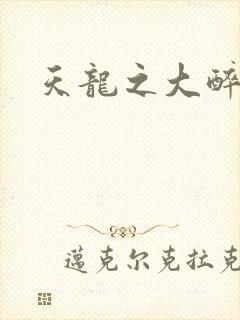 天龙之大醉侠
